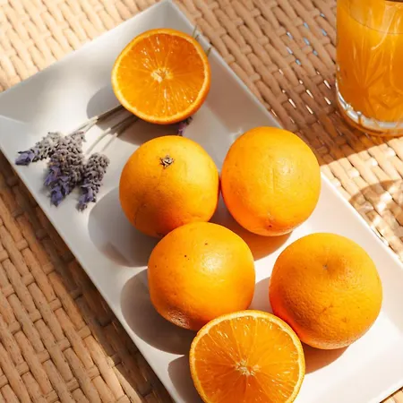 Sea View Apartments&studios Apartahotel