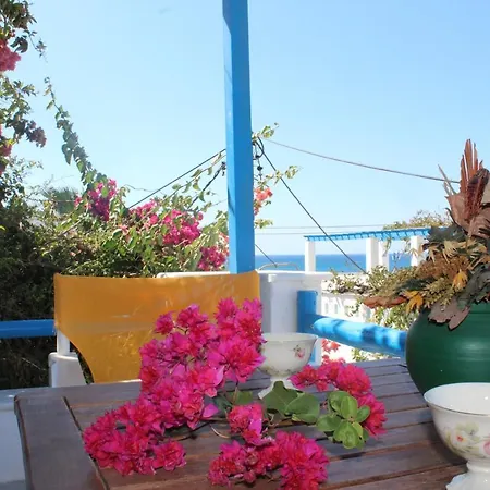 Sea View Apartments&studios Agia Anna (Naxos)