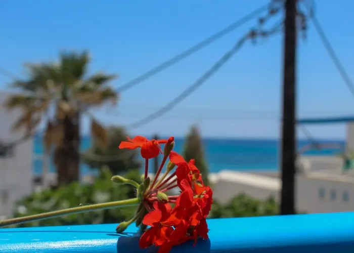 Sea View & Daire Agia Anna (Naxos)